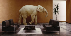 bigstock-Elephant-Indoor-8059871