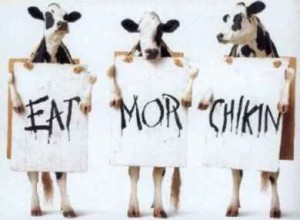 cows with signs