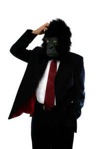 bigstock-Confused-Gorilla-Man-2154196