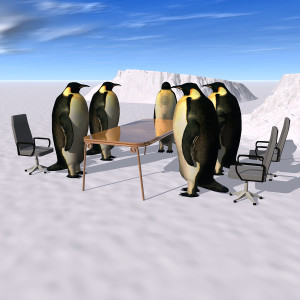 Penguins Meeting_1619038