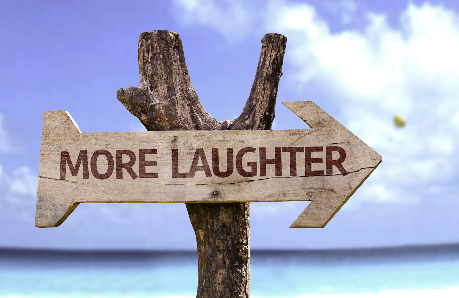Laugh and Grow Rich!