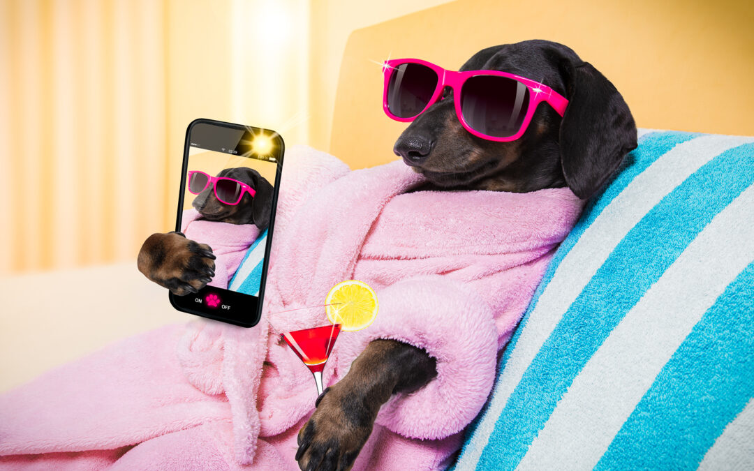 Monday Morning Mojo Moments